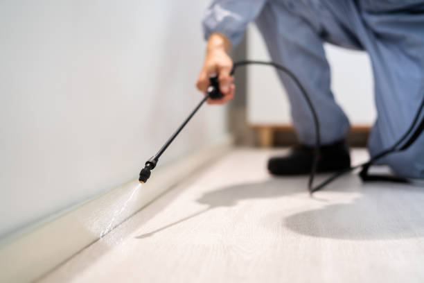 Licensed Rodent Control service in Bay County County, MI - Nex Pest Control
