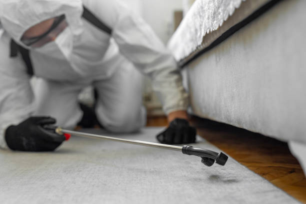 Professional Rodent Control technician working in Bay County County, MI